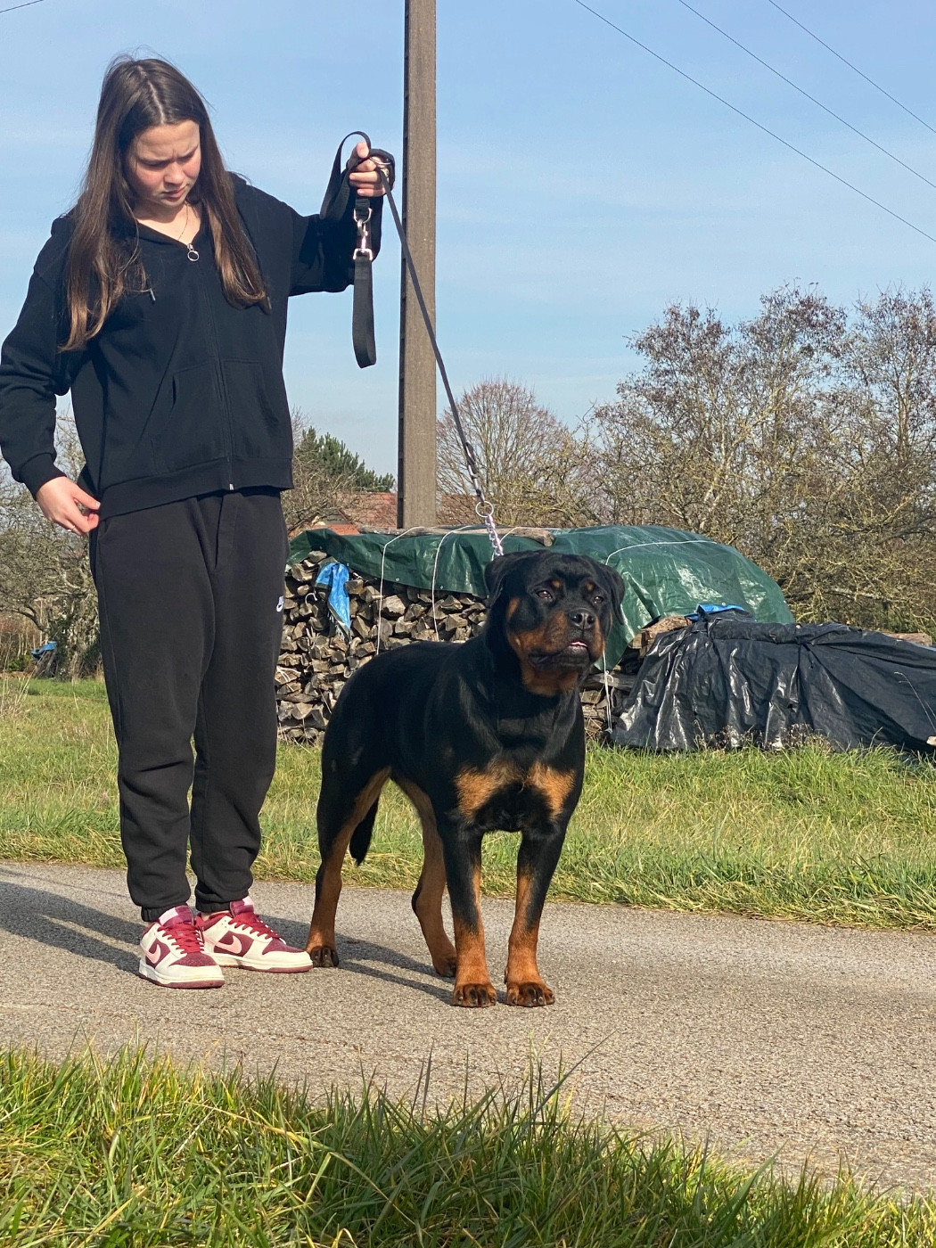 Valhalla vom hause hegel