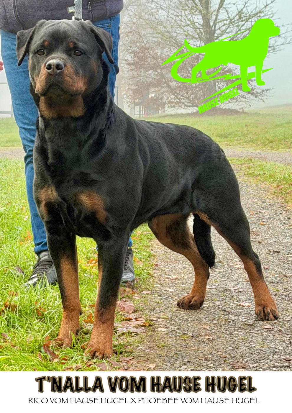 T'nalla Vom Hause Hugel