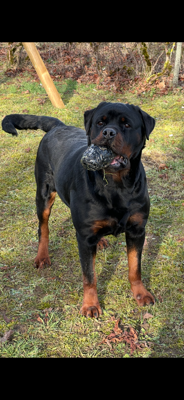 T'nalla Vom Hause Hugel